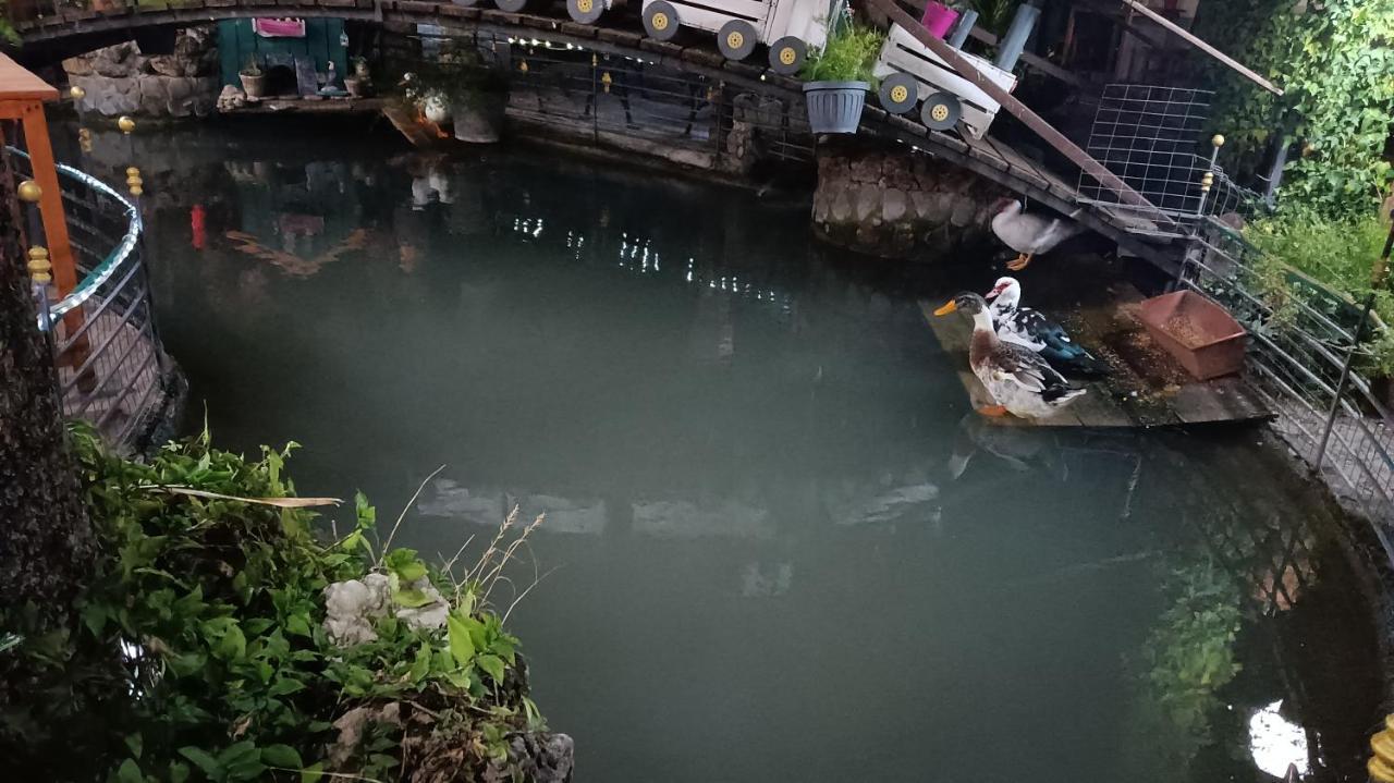 Il Laghetto Bed & Breakfast กาสโตรวิลลารี ภายนอก รูปภาพ