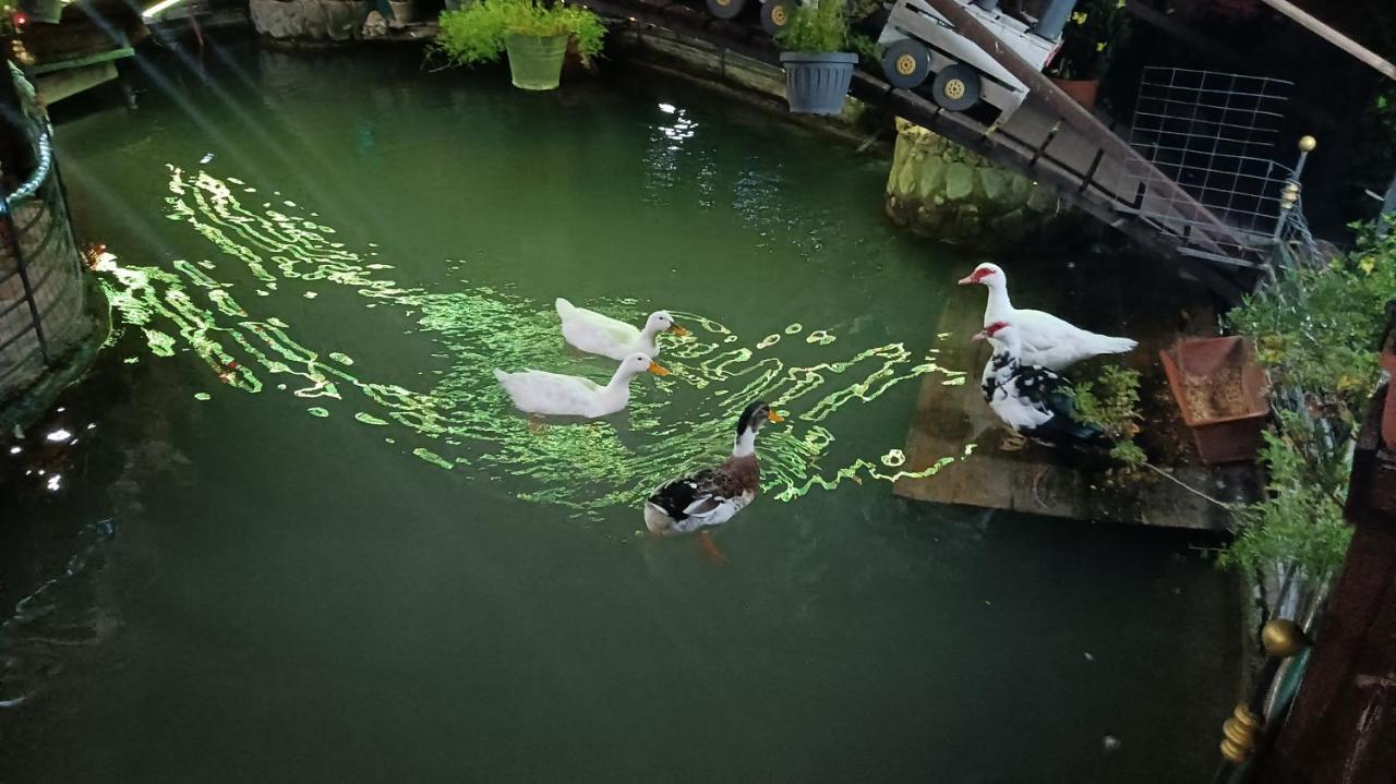 Il Laghetto Bed & Breakfast กาสโตรวิลลารี ภายนอก รูปภาพ