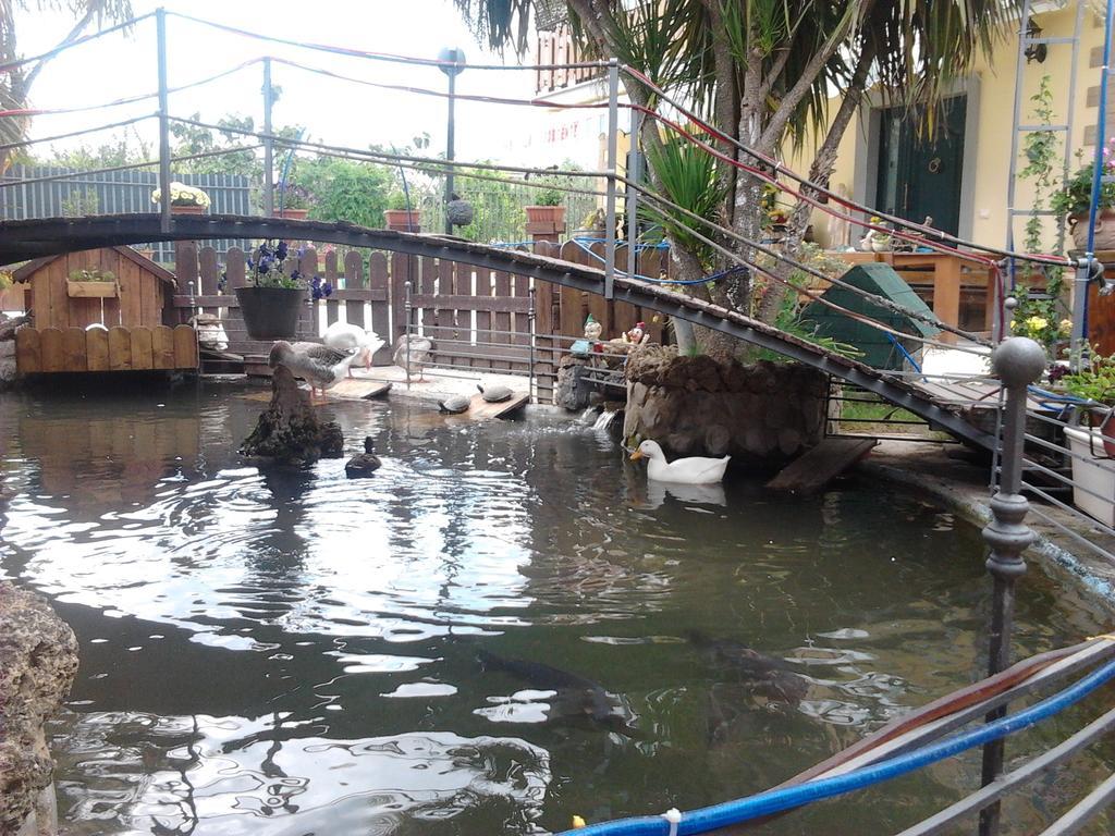 Il Laghetto Bed & Breakfast กาสโตรวิลลารี ภายนอก รูปภาพ